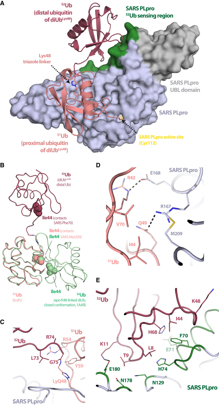 Figure 2