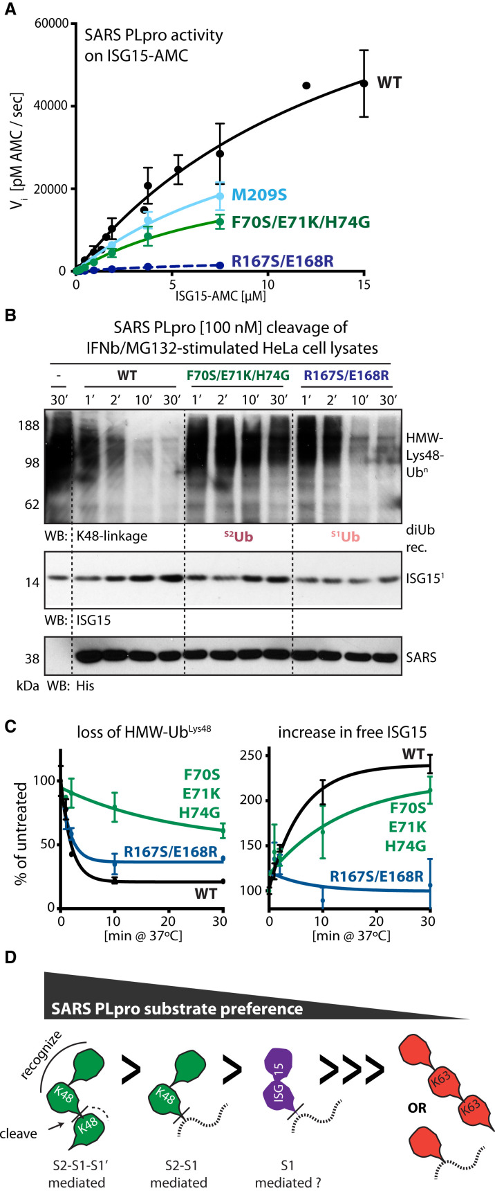 Figure 5