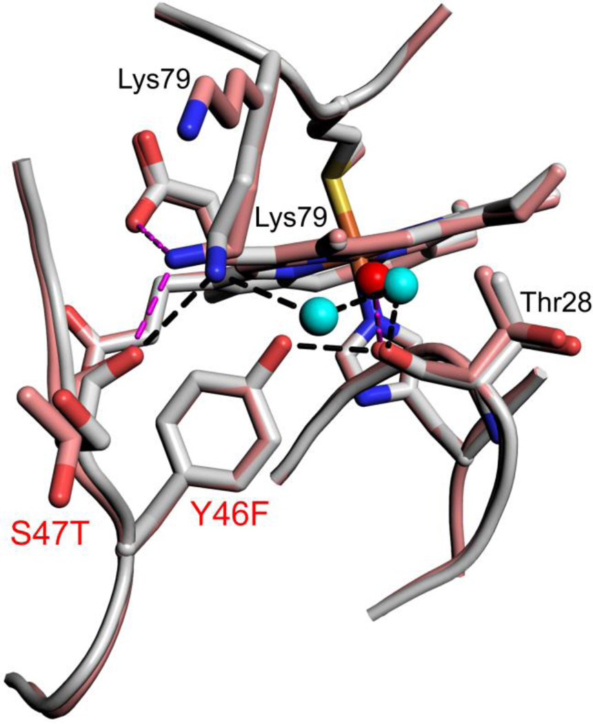 Fig. 5