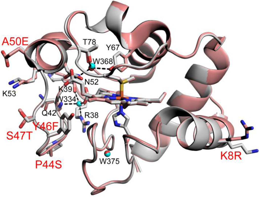 Fig. 4