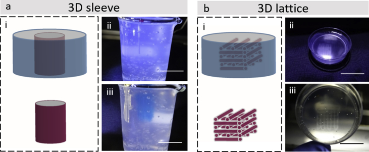 Supporting Fig. 4