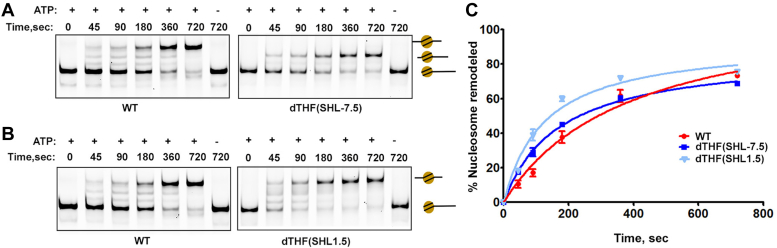 Figure 3