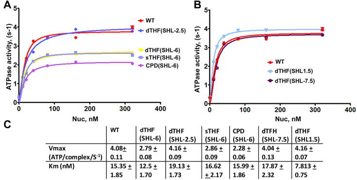 Figure 4