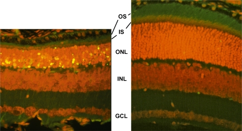 Fig. 3