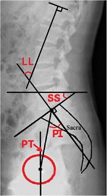 Fig. 1