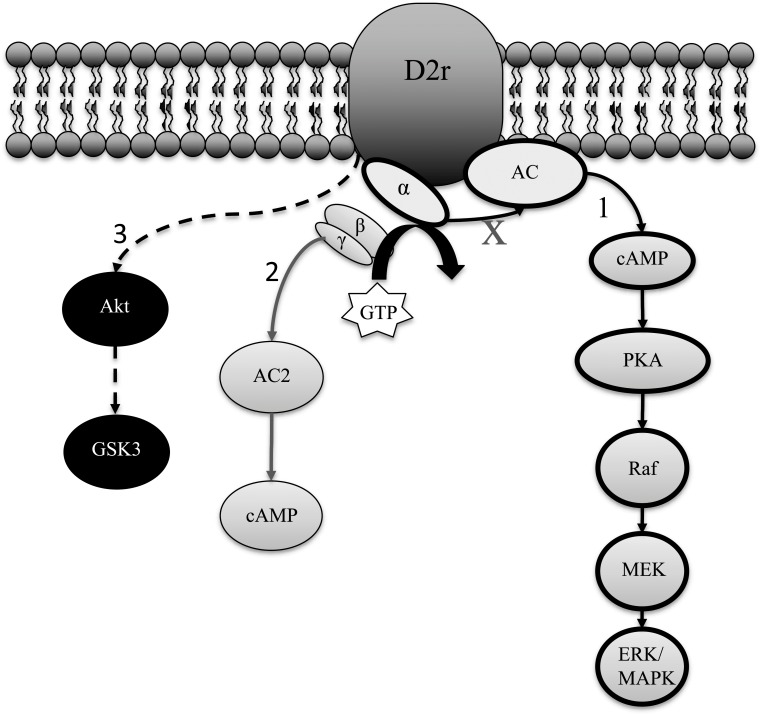 Fig. (1)