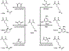 Scheme 8.