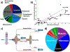 Figure 31.