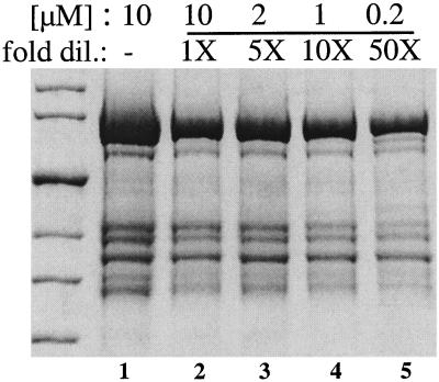 FIG. 5