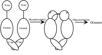 FIG. 6