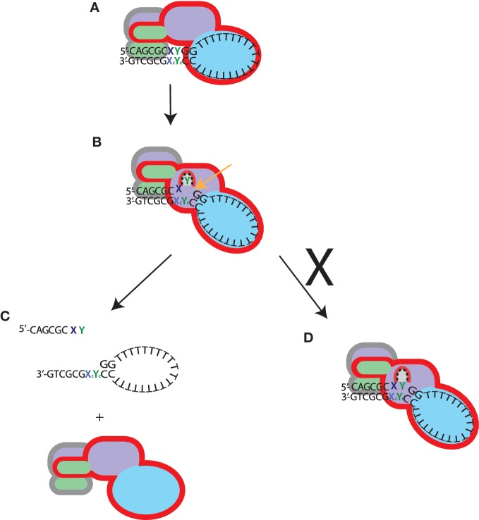 Figure 5.