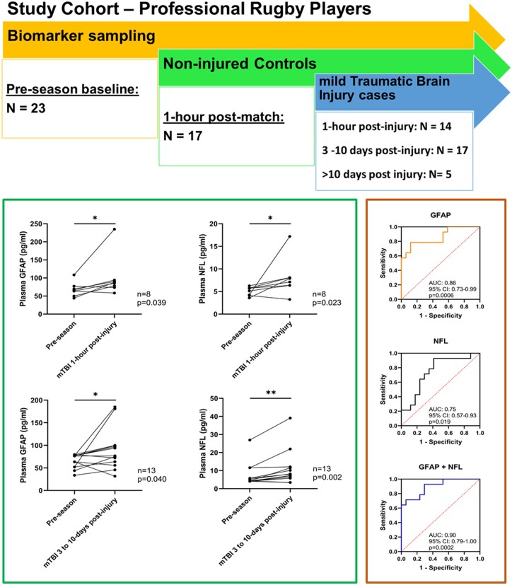 Graphical Abstract