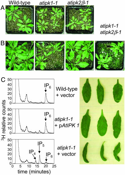 Fig. 3.