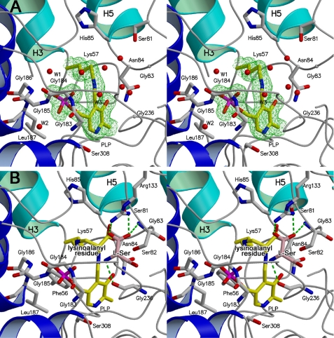 FIGURE 3.