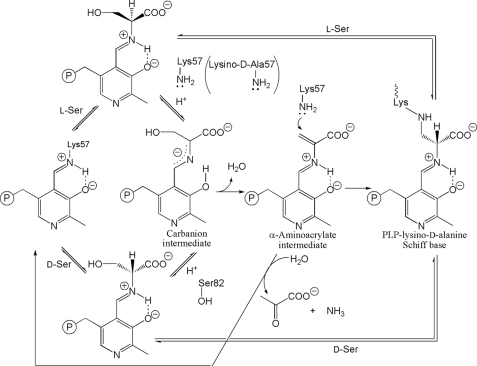 FIGURE 7.