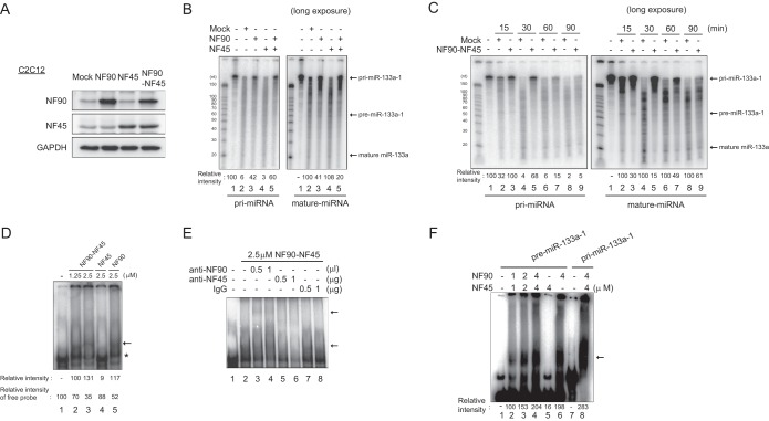 FIG 6