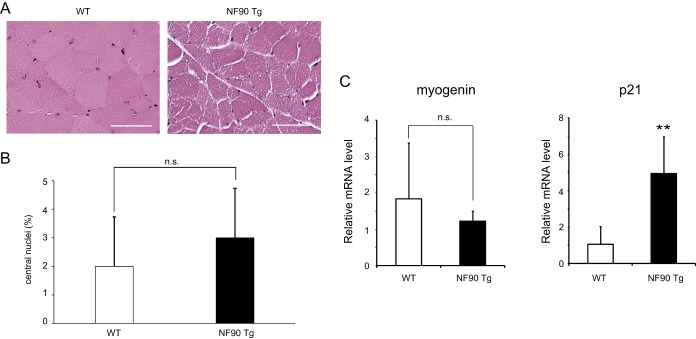 FIG 3