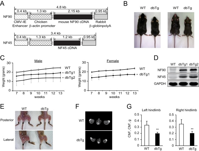 FIG 1