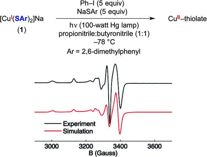 Fig. 10