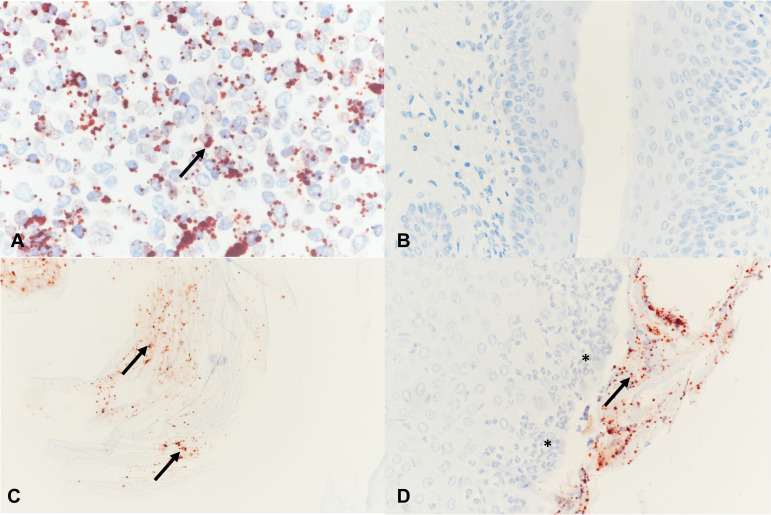 FIG 3