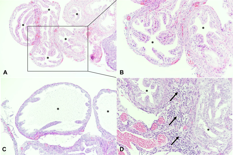 FIG 5