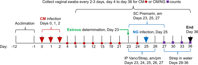 FIG 1