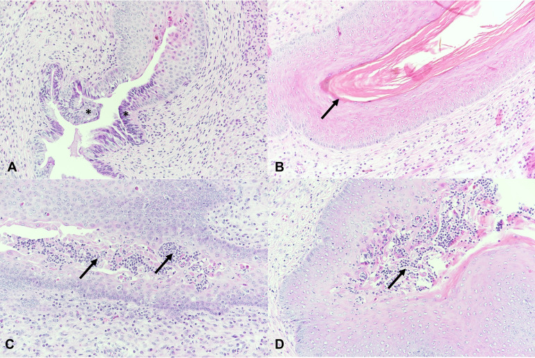 FIG 6