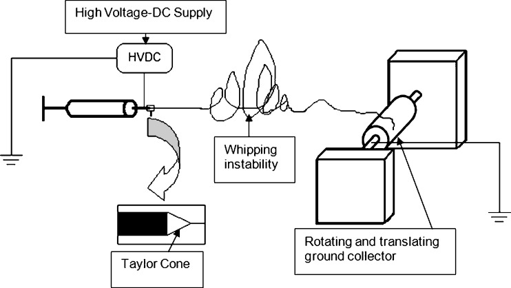 Fig. 2