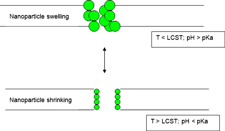 Fig. 8