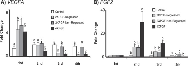 FIG. 6