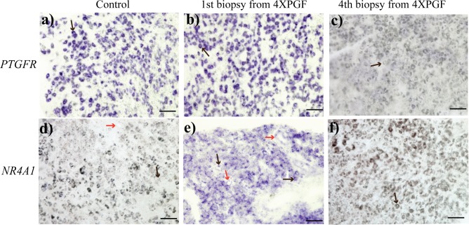 FIG. 7