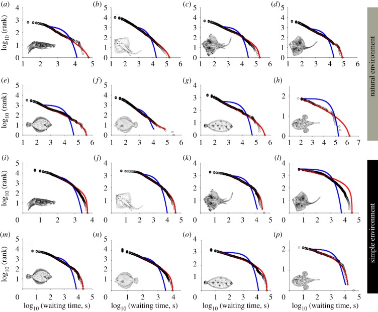 Figure 2.