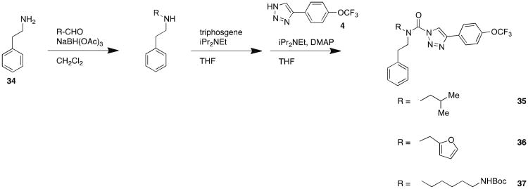 Scheme 5