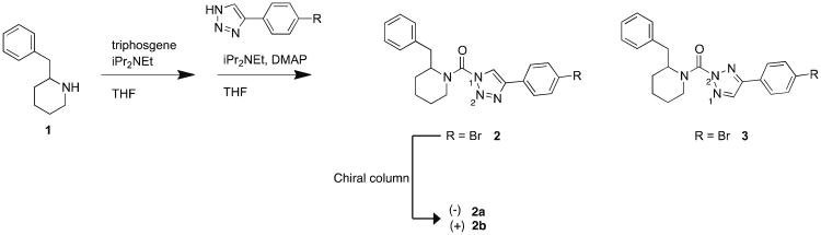 Scheme 1