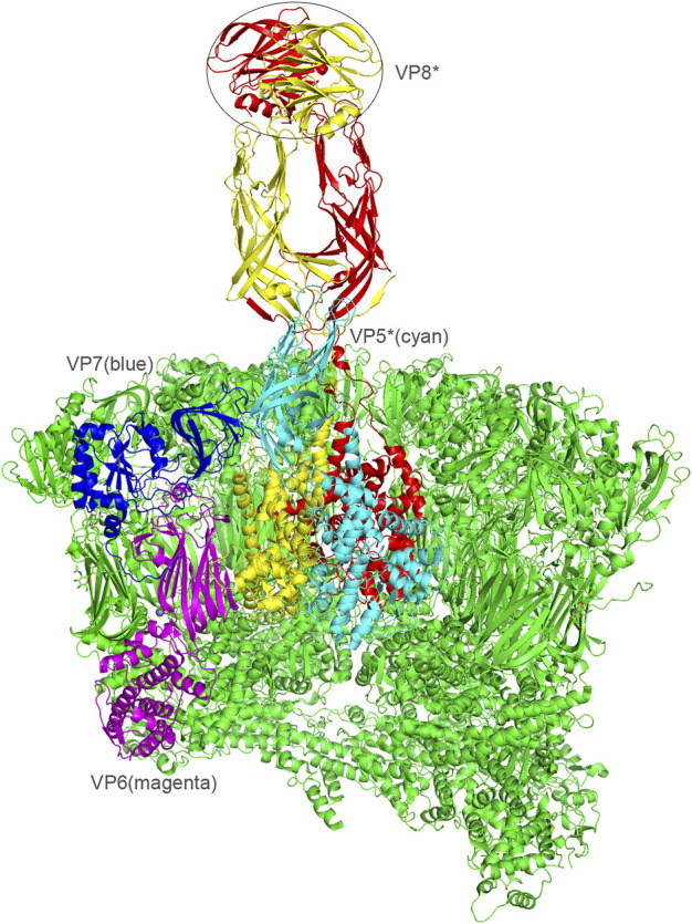 FIGURE 1