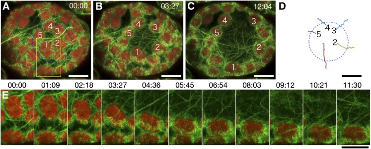 Figure 3.