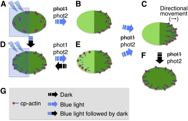 Figure 10.