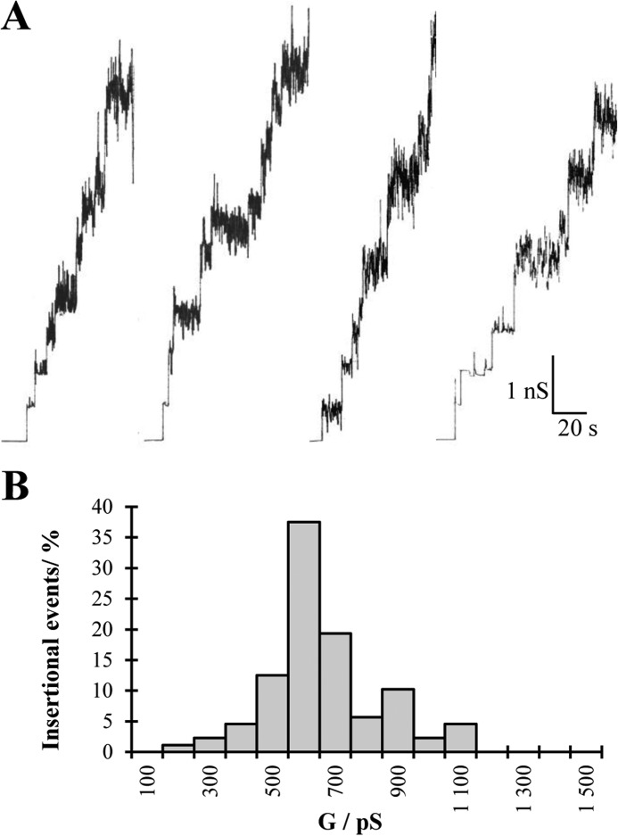 FIGURE 3.