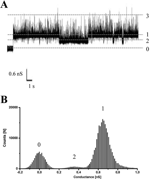 FIGURE 5.