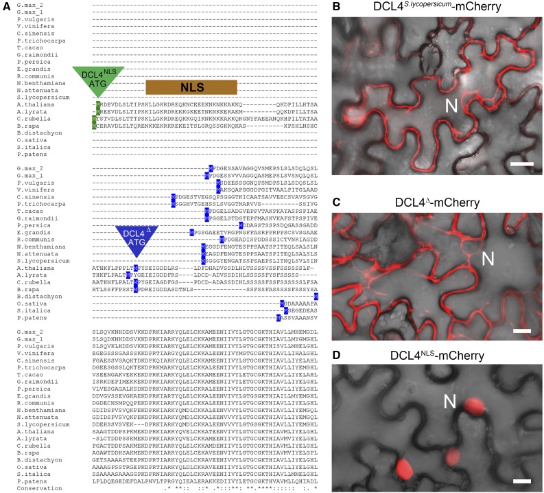 Figure 4.