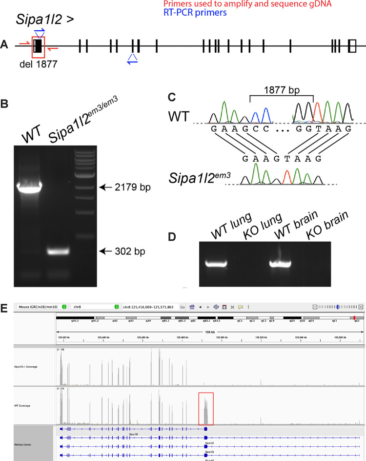 Figure 1 –