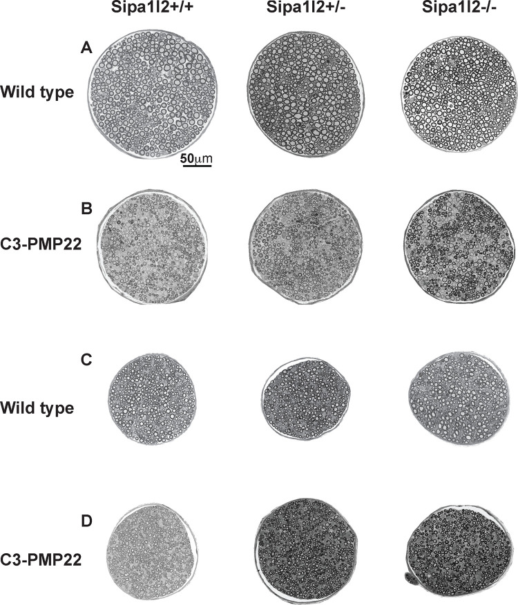 Figure 3 –