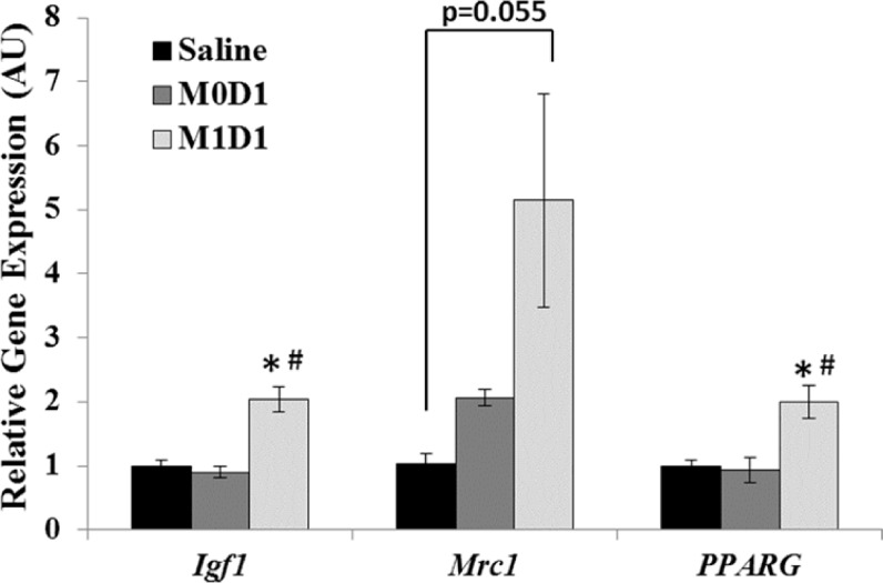 Fig 8