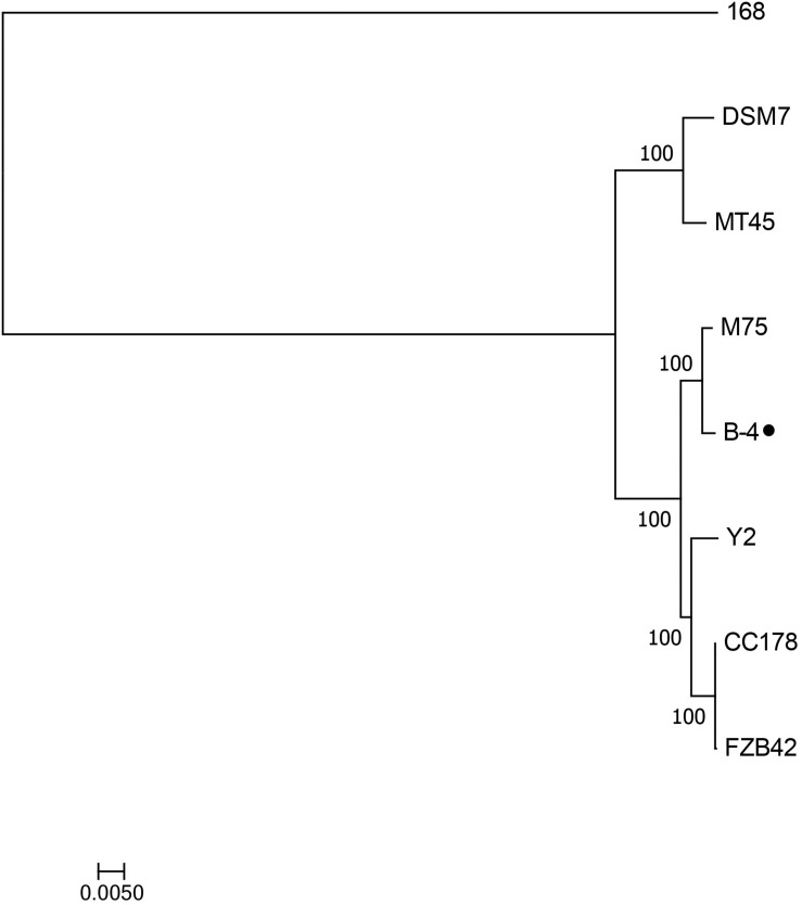 FIGURE 5