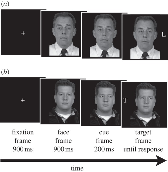 Figure 1.