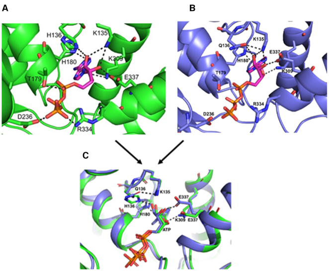 Figure 6.