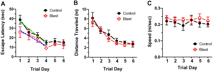 Figure 5: