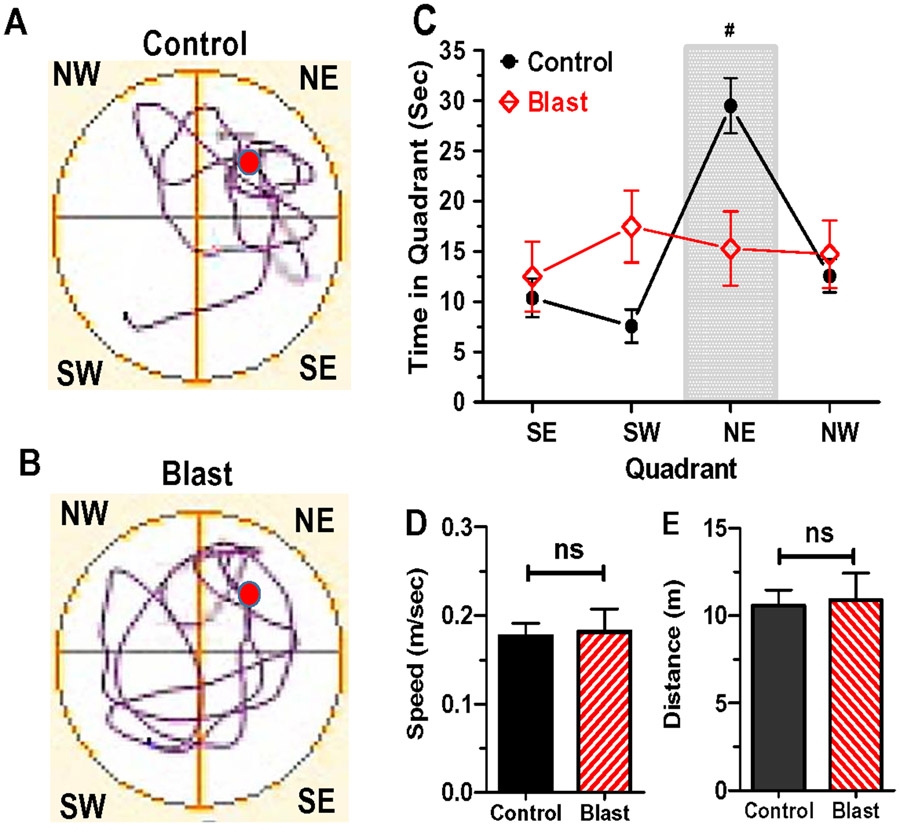 Figure 6: