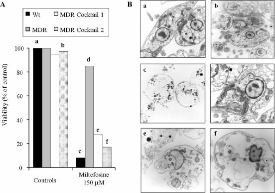 FIG. 7.