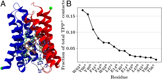 Fig. 7.